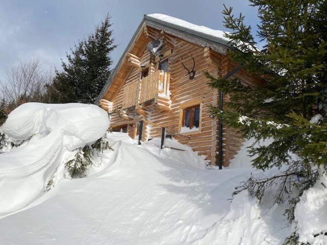 Almhauser Alpenchalet Grabner Alm Am Praebichlヴィラ エクステリア 写真